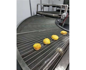 郑州食品网带转弯机