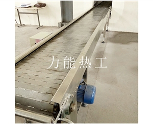郑州链板输送机